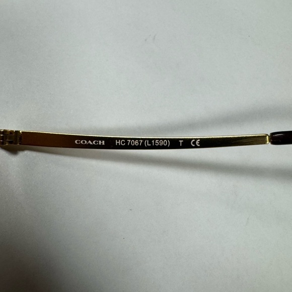 Coach Pilot Sunglasses Model: HC7067 - Picture 5 of 12